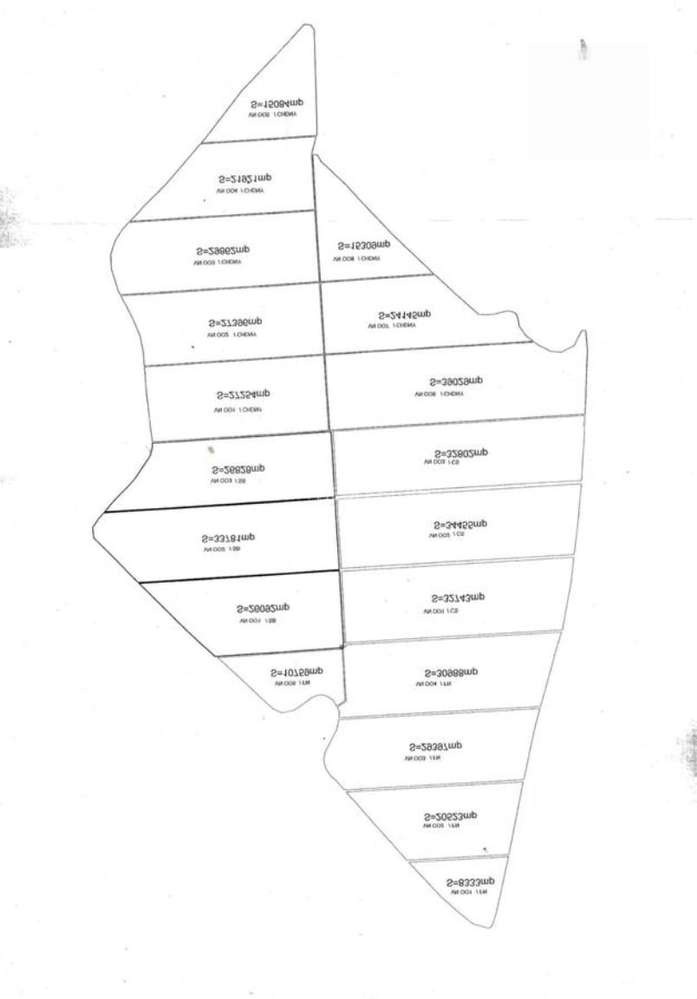 130 Ha comasat 100%, judetul Constanța - Imagine principală: 4/4