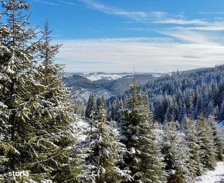 Cabane de vanzare , 125 mp utili , Marisel - Imagine principală: 5/5