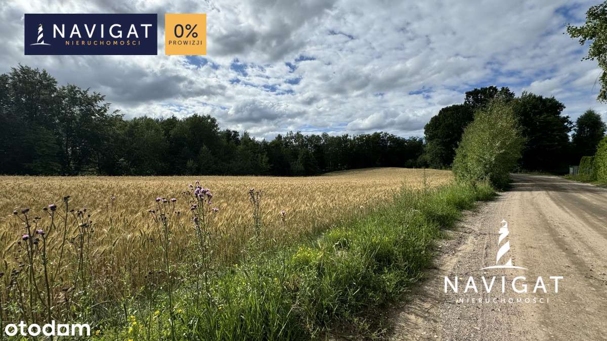 Działka nieopodal jeziora blisko Trasy Kaszubskiej - Pełny obrazek: 4/5