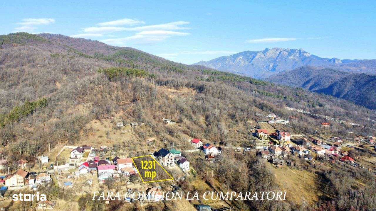 Calimanesti, Teren 1231 mp - Imagine principală: 2/16