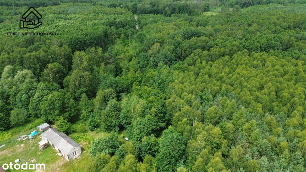 Wola Uhruska - 2,11 ha - Zabudowa Jednorodzinna - Pełny obrazek: 4/7
