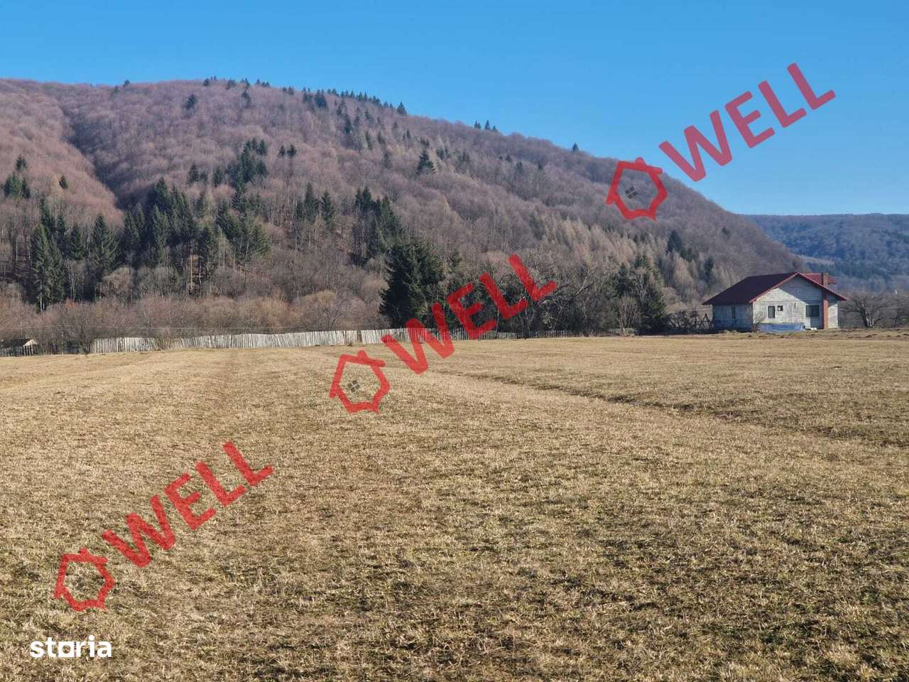 De vânzare teren extravilan în Vama Buzăului! - Imagine principală: 5/7