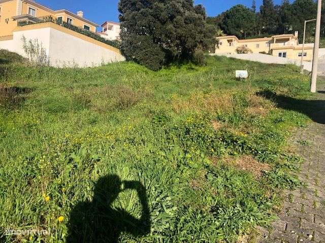 Terreno - Leiria - Casal Matos - Grande imagem: 5/5