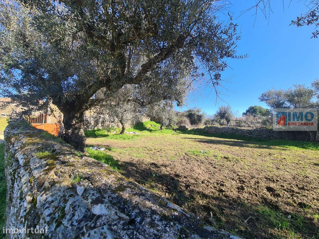 Quintinha no Retaxo - Grande imagem: 2/8