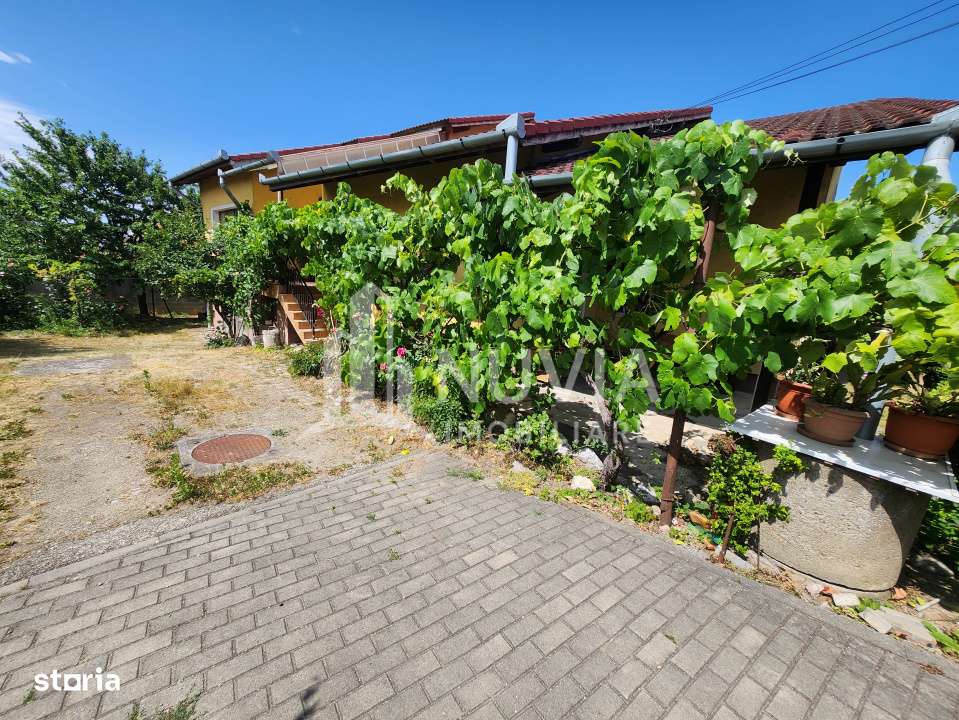 Casa individuala cu 3 camere,371 mp teren,Centru-15