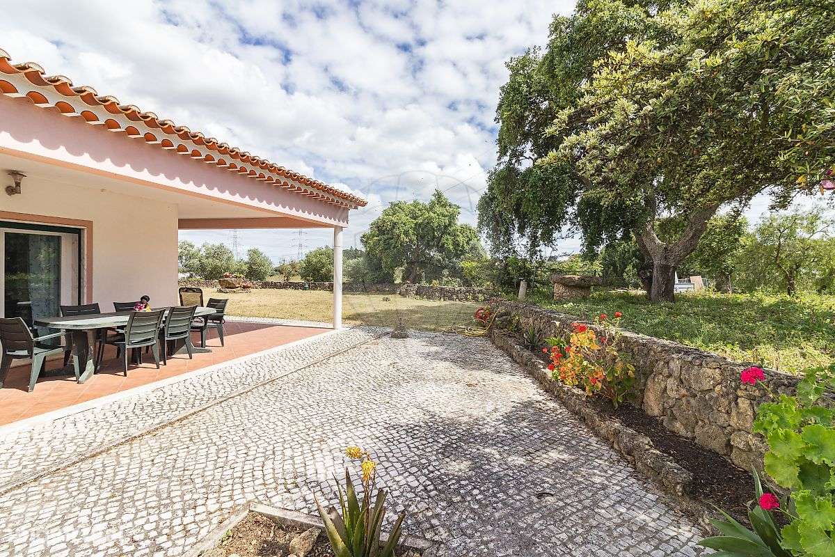 Quinta T5 para venda - Grande imagem: 4/50