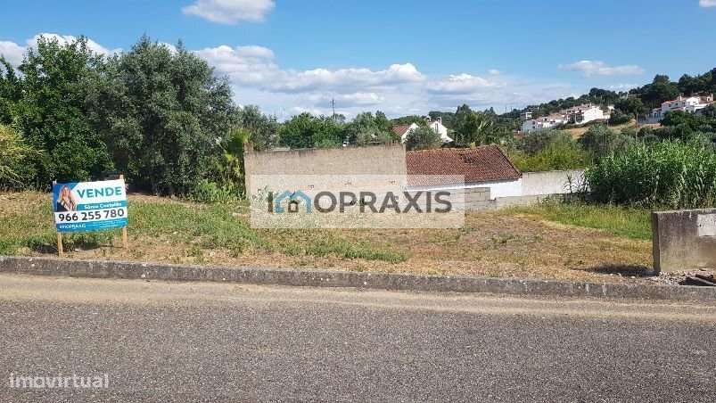 Terreno para Construção- Chamusca- Santarém - Grande imagem: 5/7