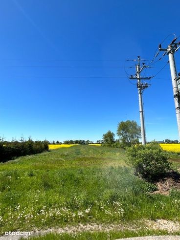 Działka rolno budowlana / siedlisko / 1.81 ha