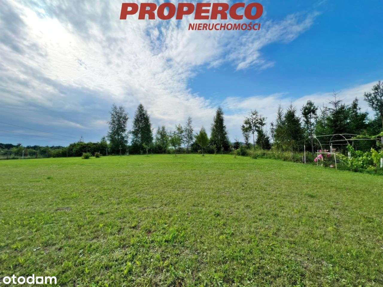 Działka 13100m2, Radkowice gm. Chęciny - Pełny obrazek: 5/15