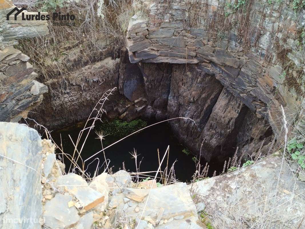 Quinta perto de Castelo Branco - Grande imagem: 5/11