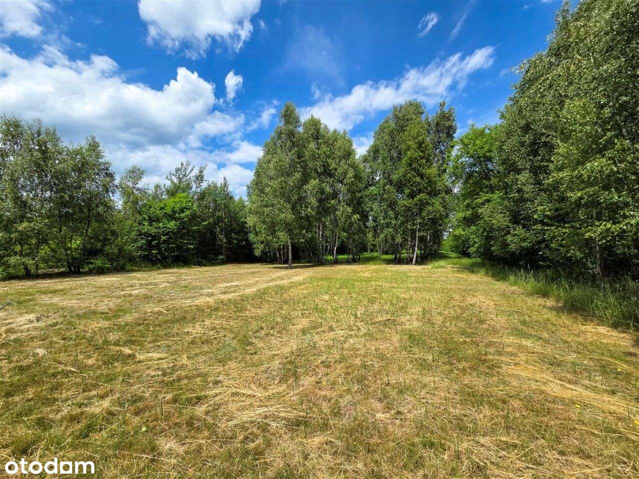 Z Pozwoleniem Na Budowę Trzech Domów - Pełny obrazek: 5/7