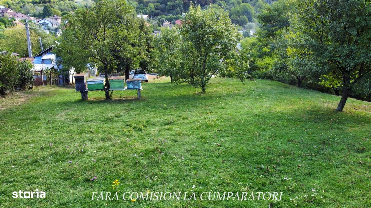 TEREN 1869 MP, CADRU NATURAL SUPERB, TOATE UTILITATILE-7