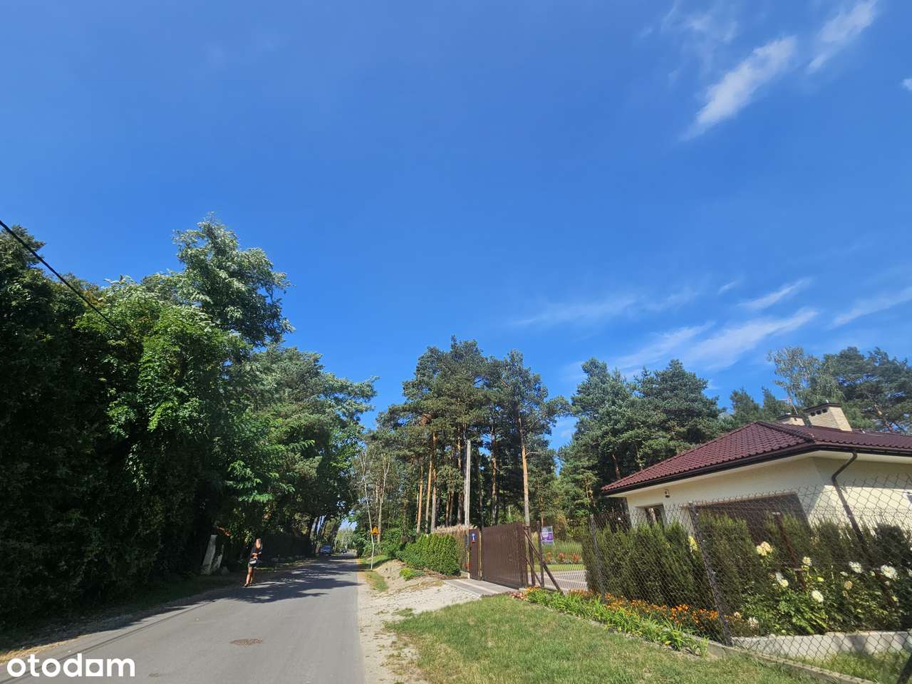 2 ładne działki w WIĄZOWNIE. Warunki zabudowy i MPZP. Media. OKAZJA - Pełny obrazek: 5/13