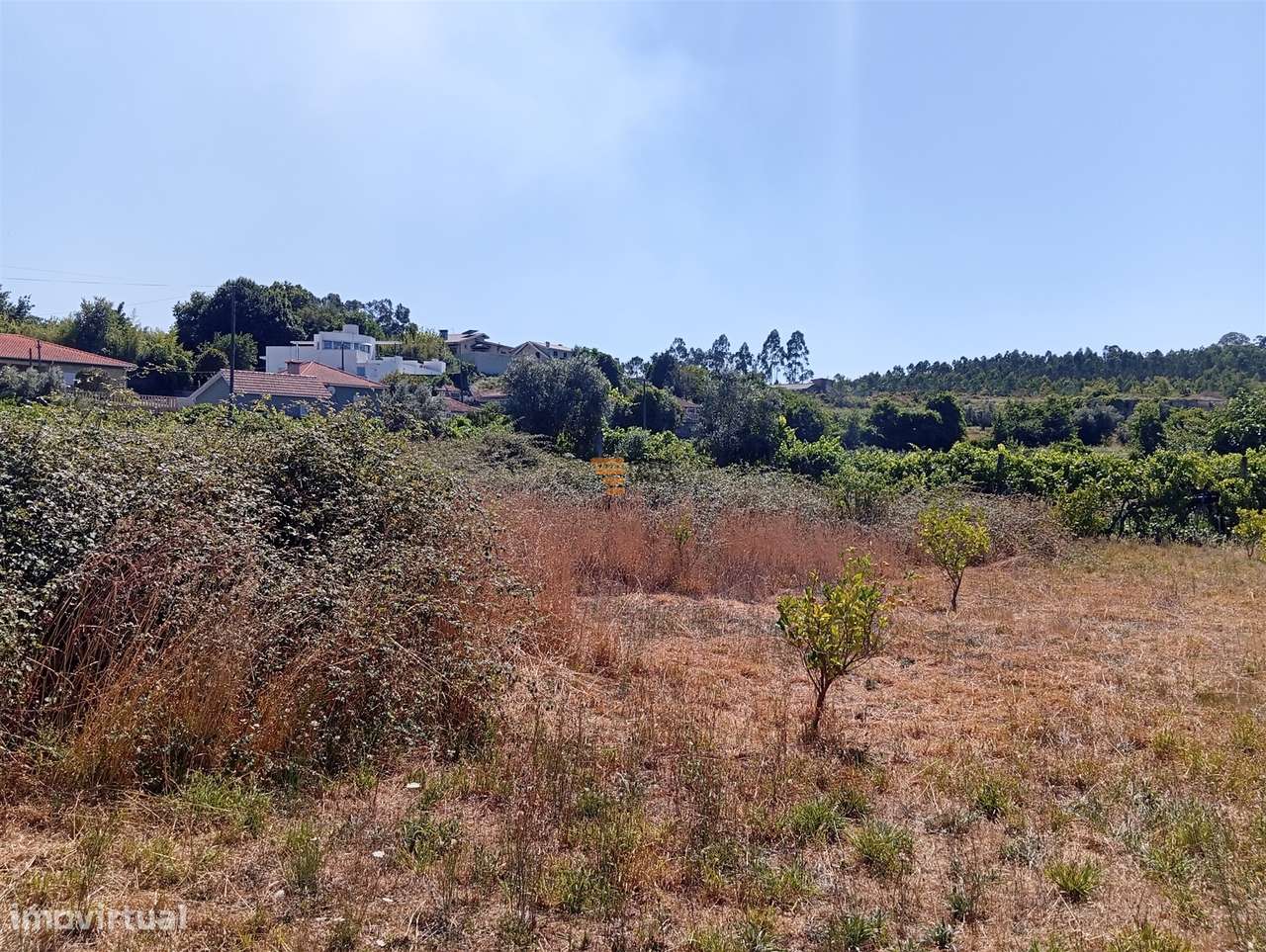 Terreno 3.000m2 Duas igrejas-7