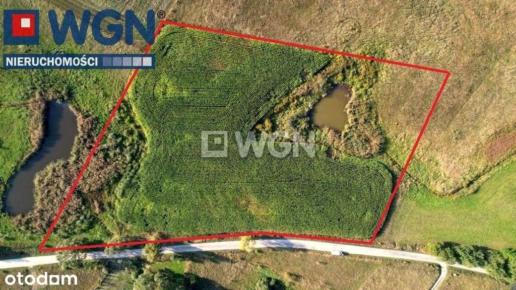 Działka blisko jeziora Mazury, Lepaki - Pełny obrazek: 4/18