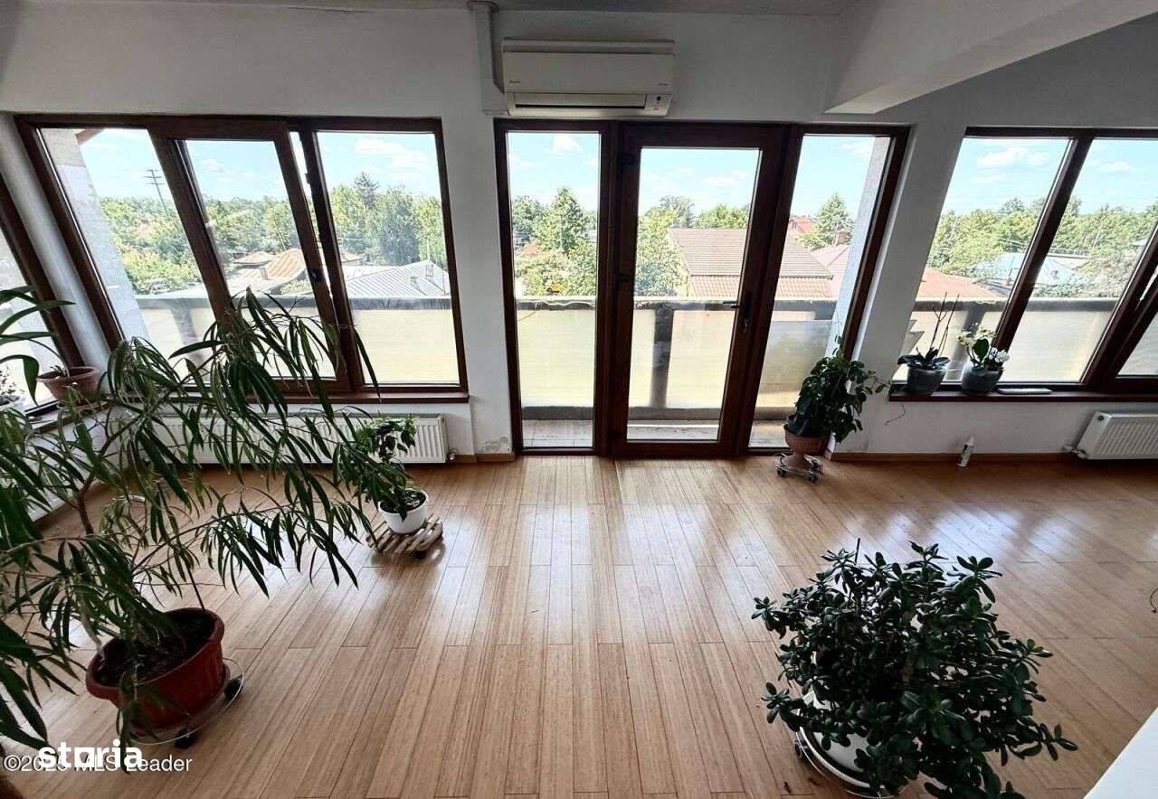 Casa Mogosoaia cu livada, crama si terasa-14