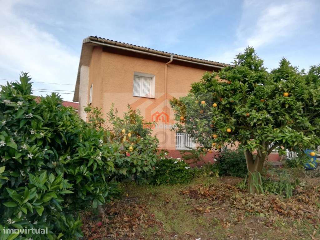 QUINTINHA - CANEDO - Grande imagem: 4/19