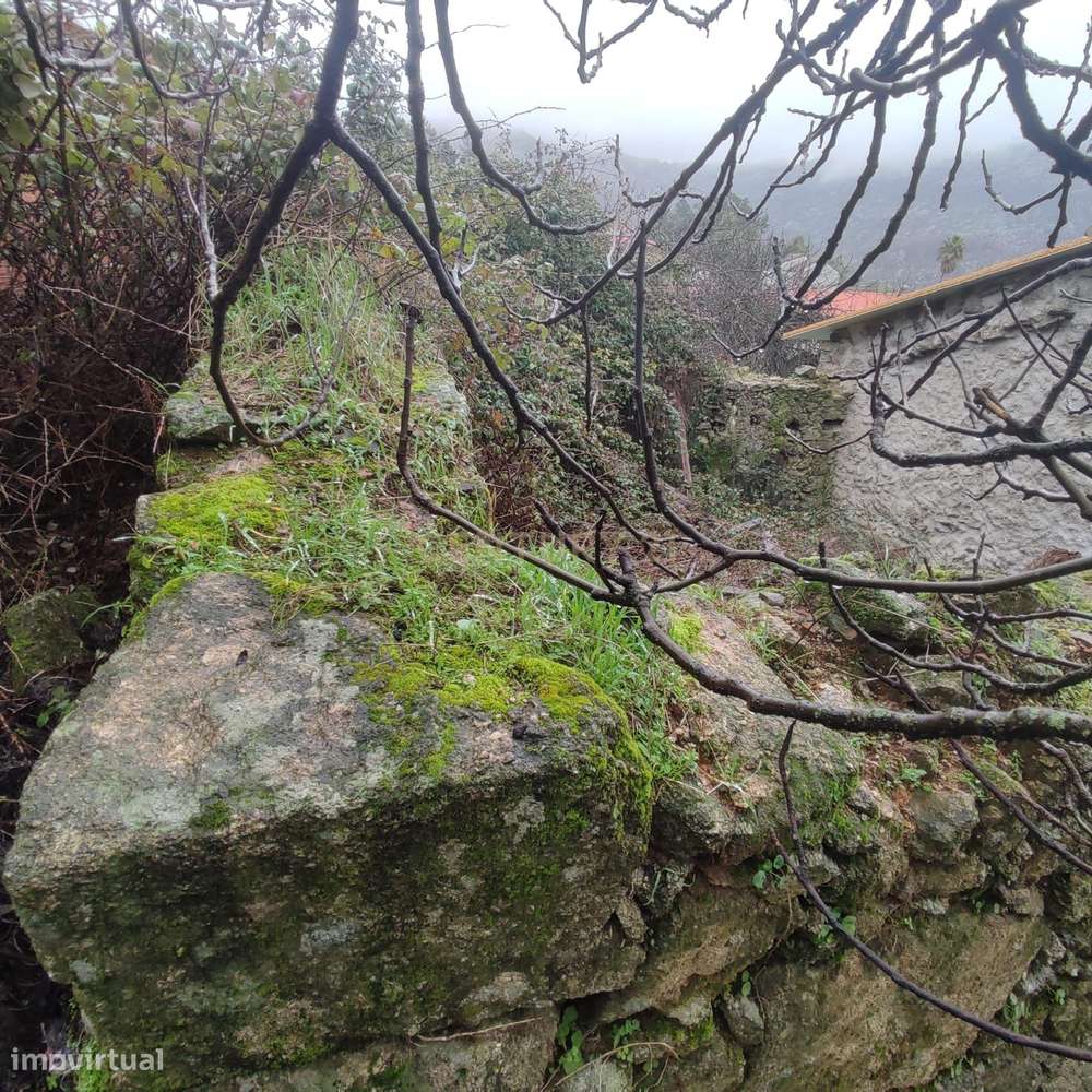 Casa em Ruínas em Casal da Serra, São Vicente da Beira, Castelo Branco - Grande imagem: 4/8