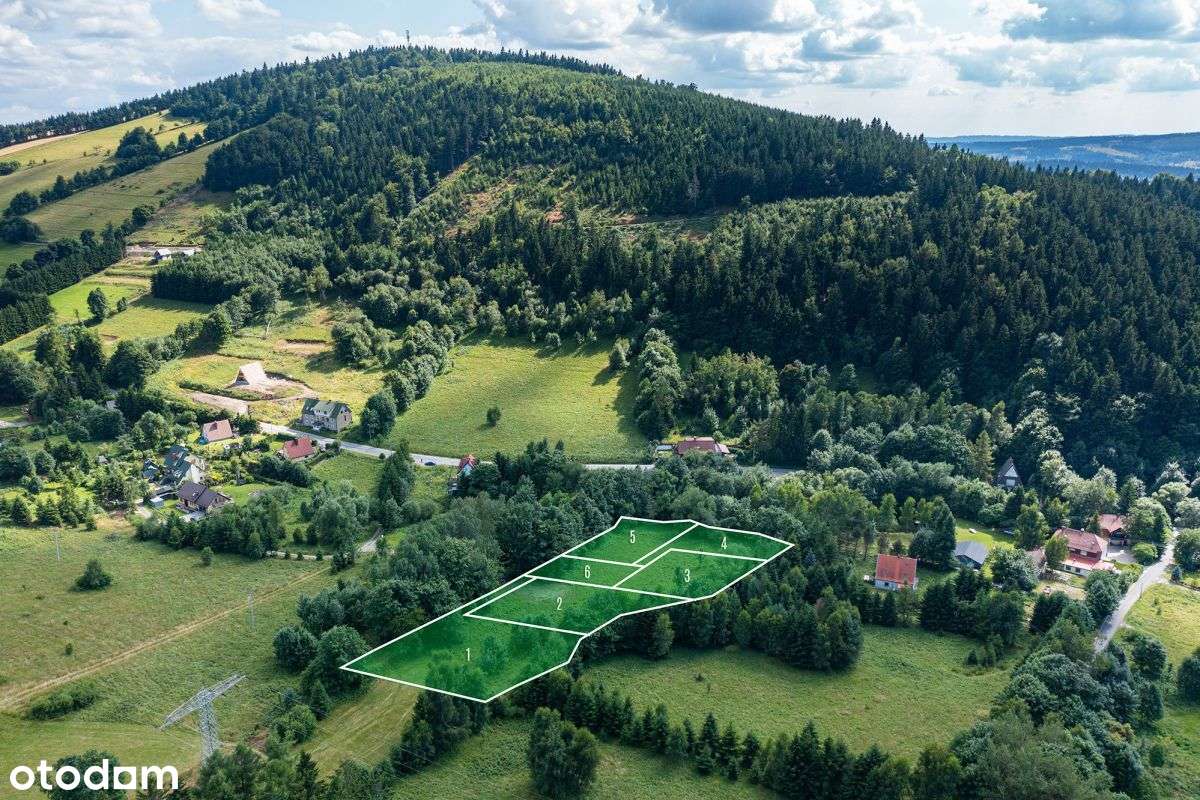 Działki budowlane, góry, otulina leśna, strumyk - Pełny obrazek: 4/12