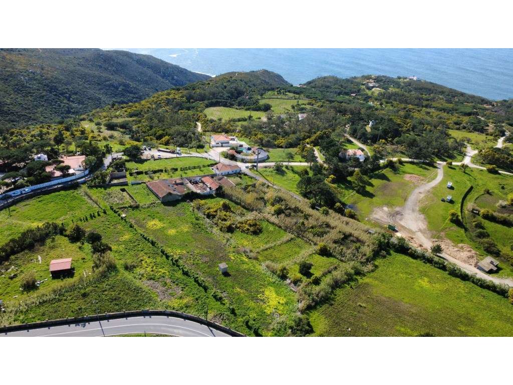 Terreno com 1,5 Hectarescom 4 Habitações junto ao Cabo da Roca-18