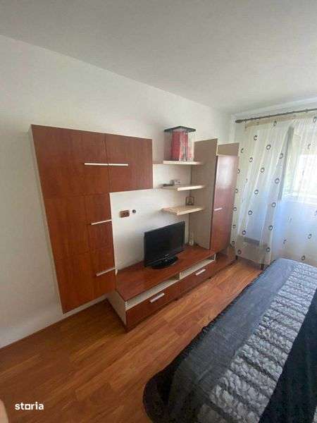 Apartament 1 camera Dunarea - Imagine principală: 4/7
