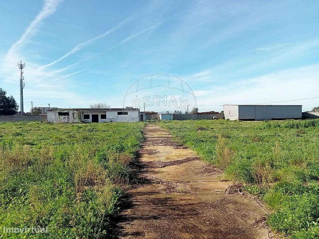 Terreno  para arrendamento - Grande imagem: 4/13