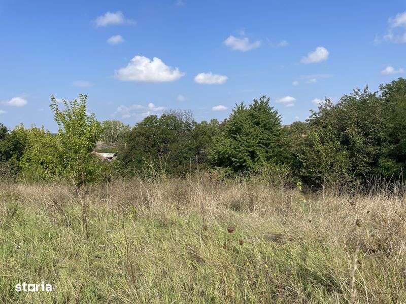 Vand loc de casa comuna Diosig - Imagine principală: 4/7