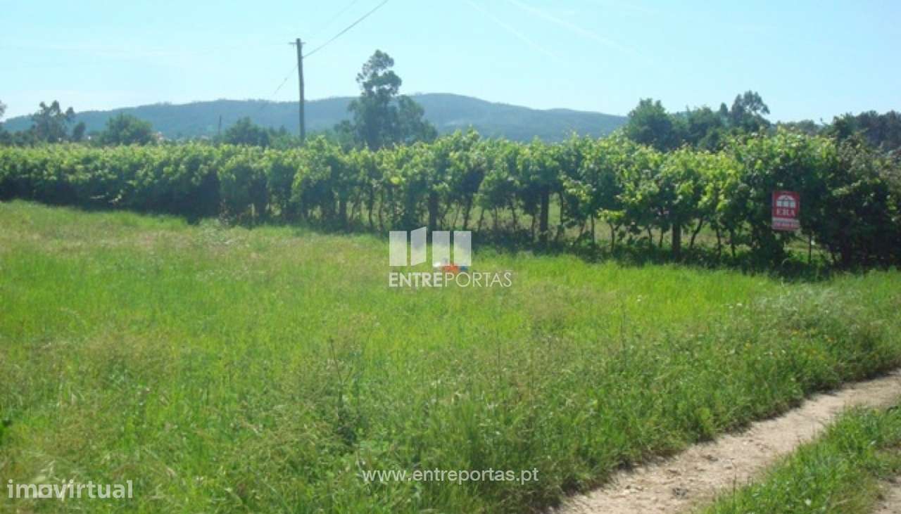 Venda de Terreno, Neves, Viana do Castelo - Grande imagem: 2/29