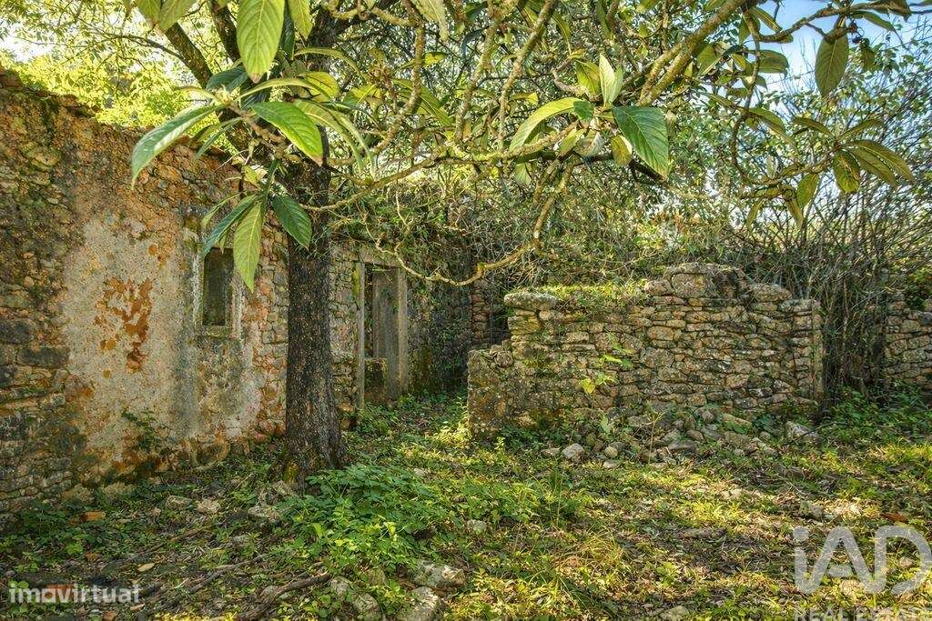 Casa de Campo em Chãos - Grande imagem: 3/7