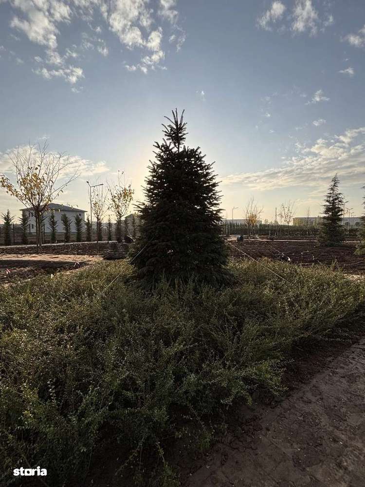 3 camere premium | Parc privat 6.000 mp | West Avenue Residence - Imagine principală: 2/13