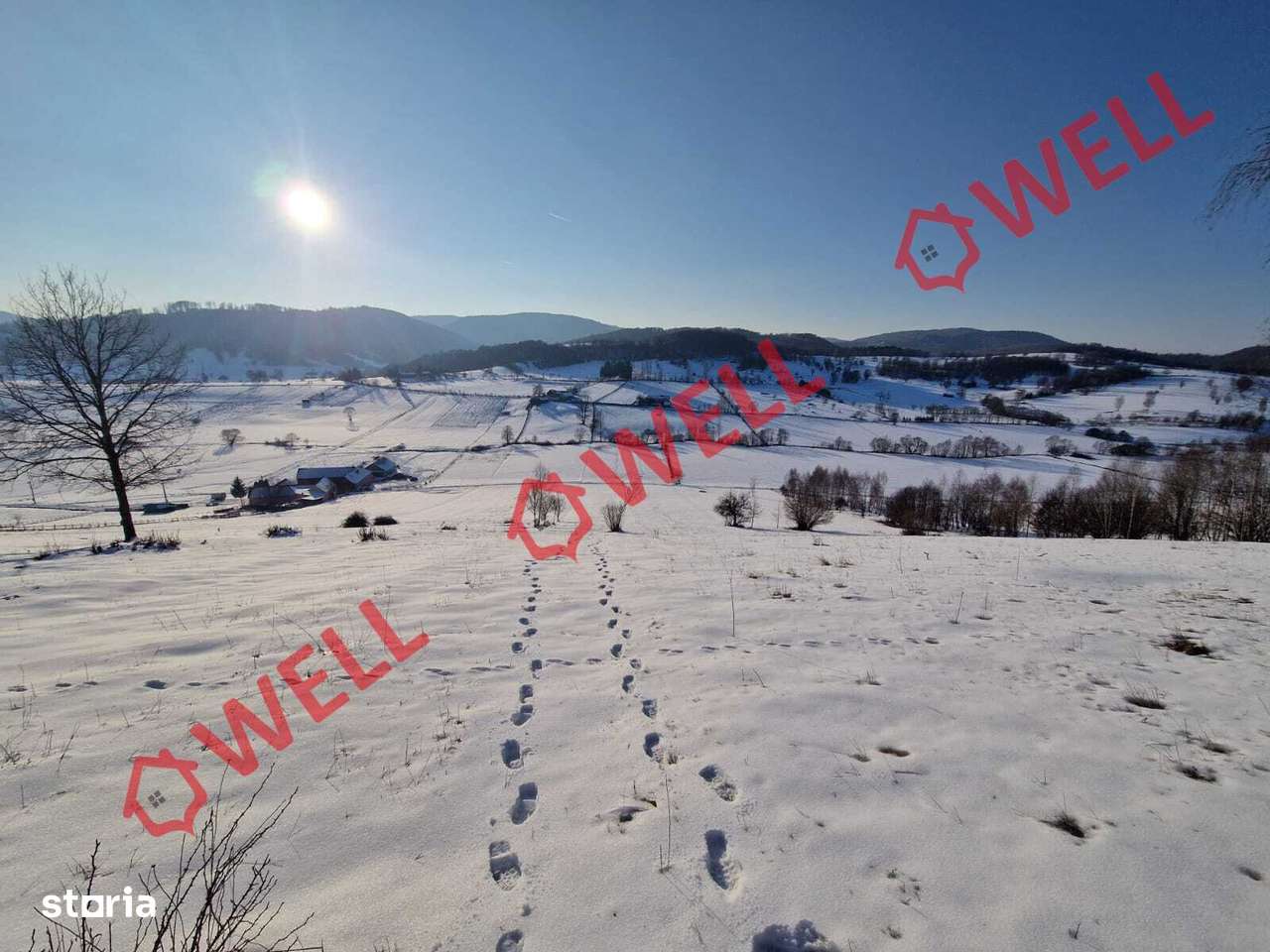 De vânzare teren extravilan în loc.Intorsura Buzăului, "La Mezereu"! - Imagine principală: 3/4