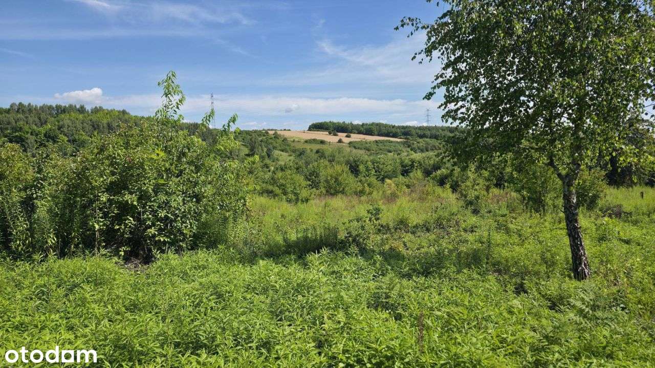 Perełka! Przepiękna Widokowa Działka W Malowniczej - Pełny obrazek: 4/17