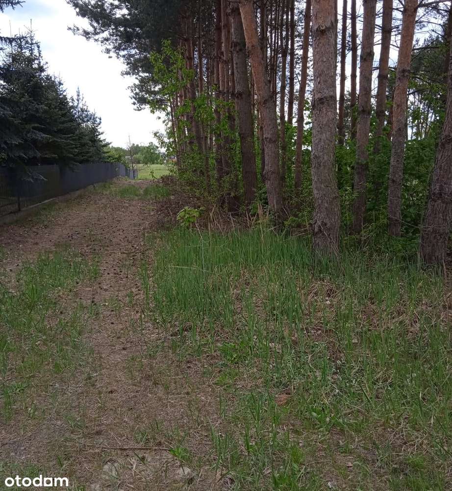 Działka budowlano-rolna na sprzedaż – Tłuszcz - Pełny obrazek: 4/7