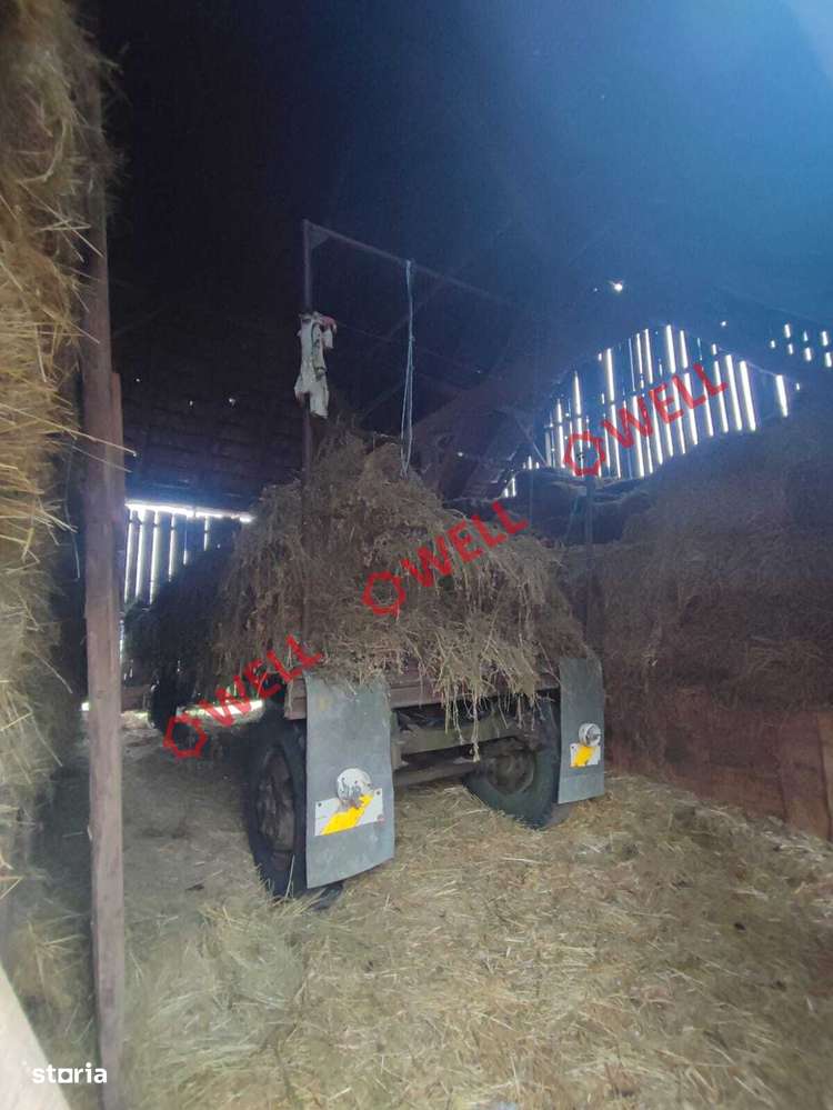 Șură și teren intravilan de vânzare în Chichiș! - Imagine principală: 5/9