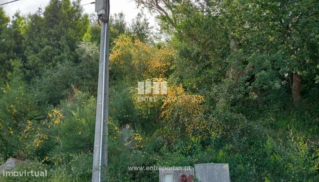Lote de terreno para venda, Âncora, Caminha - Grande imagem: 2/25