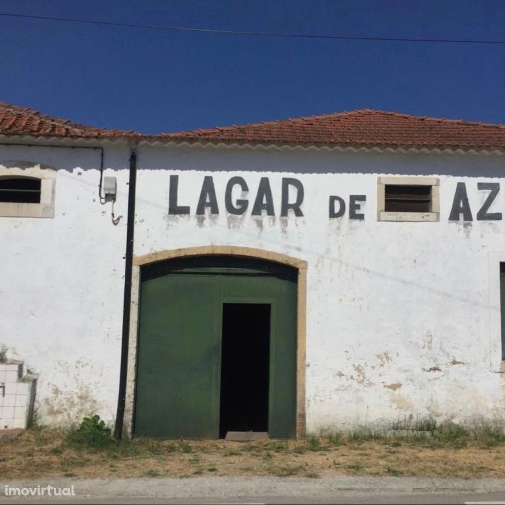 Armazém / Lagar de azeite em funcionamento na Lamarosa | Torres Novas