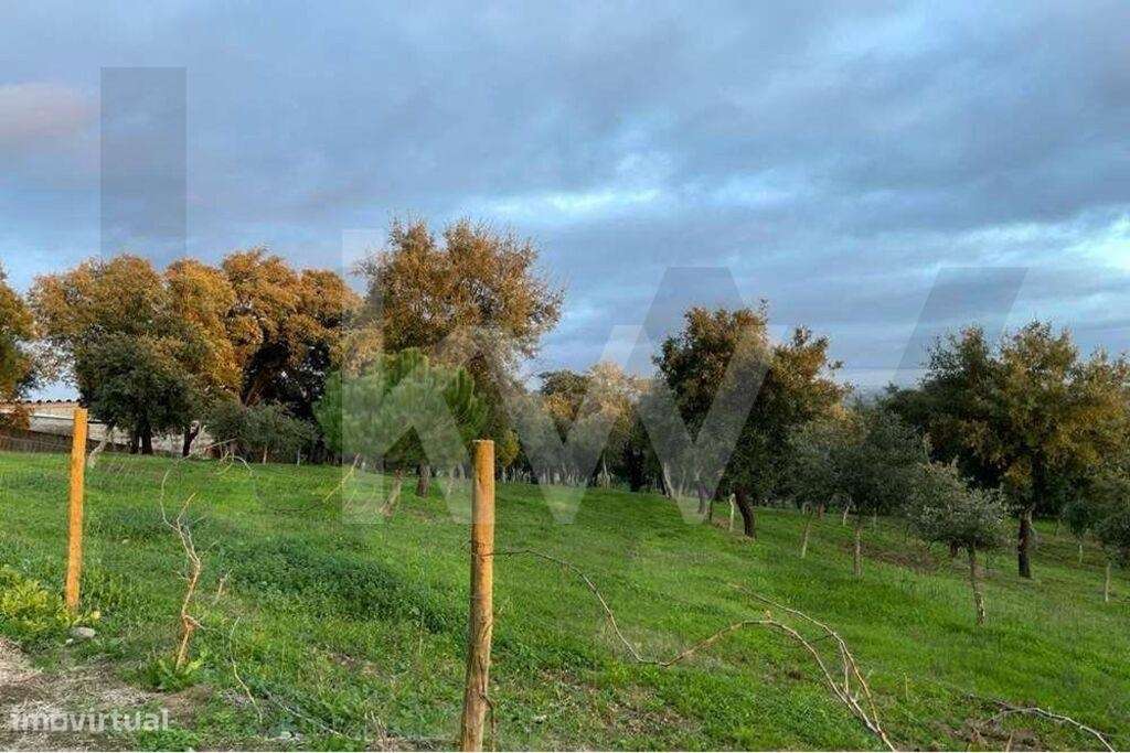 Terreno  com 13 hectares em Santiago do Cacém - Grande imagem: 5/13