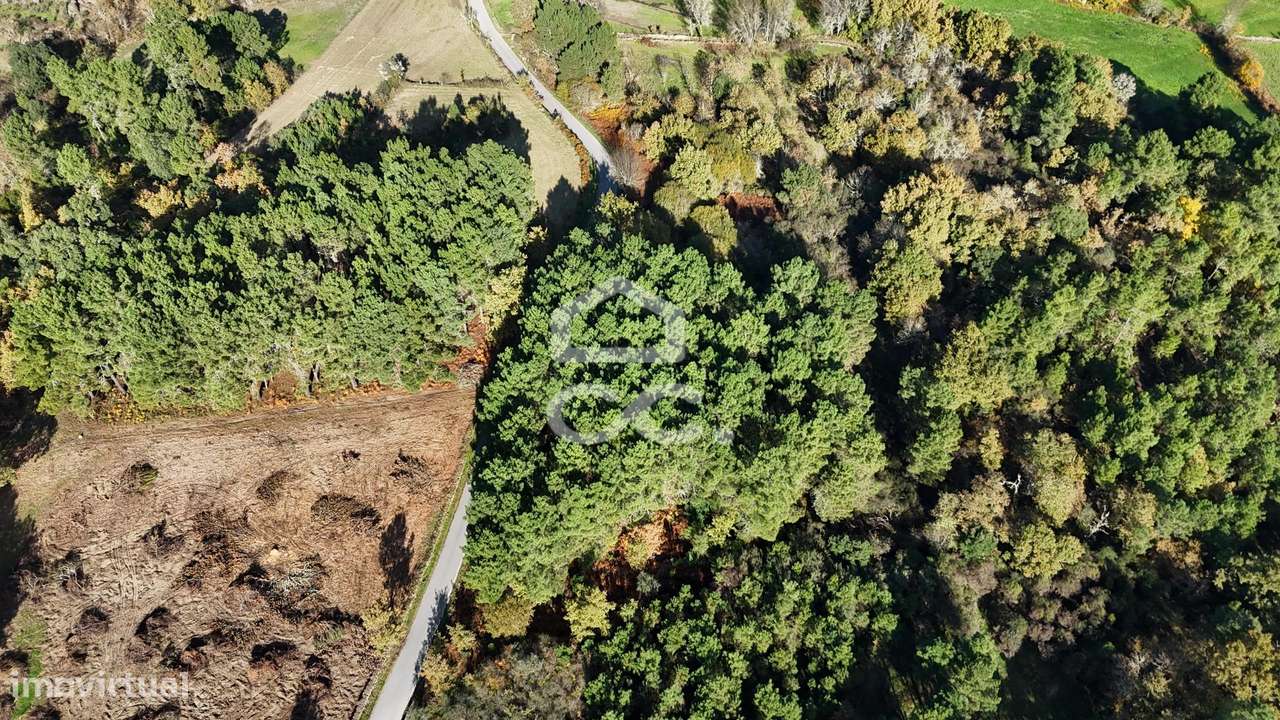 Terreno rústico com dois poço e vista privilegiada - Grande imagem: 4/16