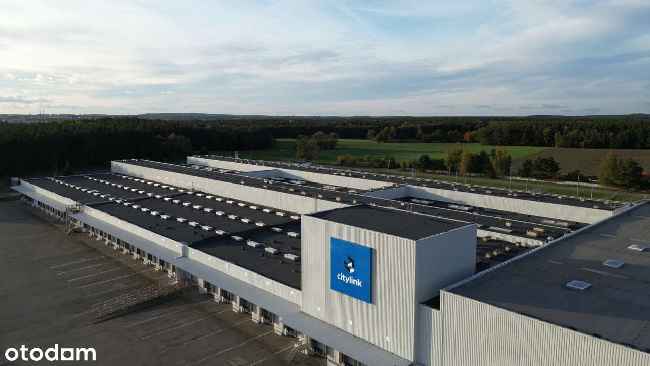 Hala magazynowa |10 000 m2| najtaniej w Poznaniu - Pełny obrazek: 1/17