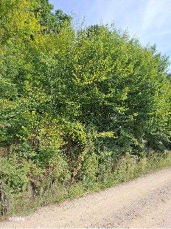 Teren extravilan Sotanga, ID: R2590381 - Imagine principală: 5/8