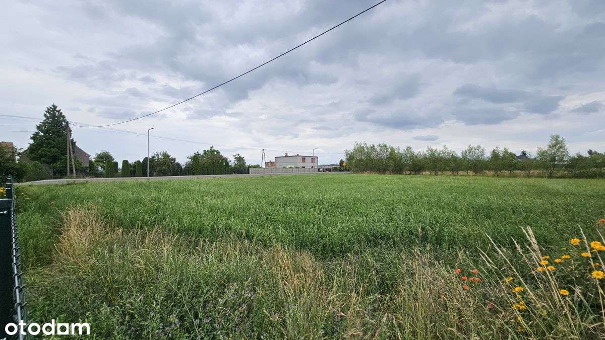 Dom (100 mkw.) Działka (3 854 mkw.) Michalin, Buk-6