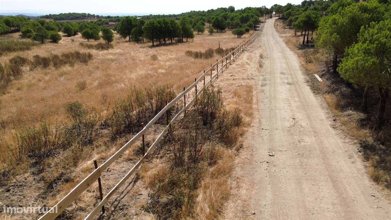 Terreno Rústico  Venda em Alcoutim e Pereiro,Alcoutim-5