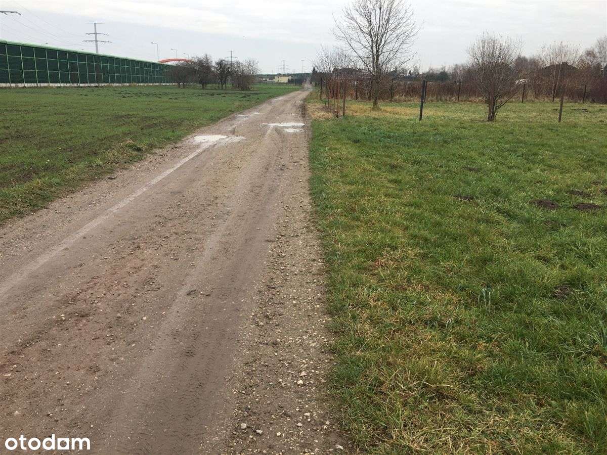 Działka w Petrykozach o pow. 2656 m2 z Mpzp - Pełny obrazek: 4/4