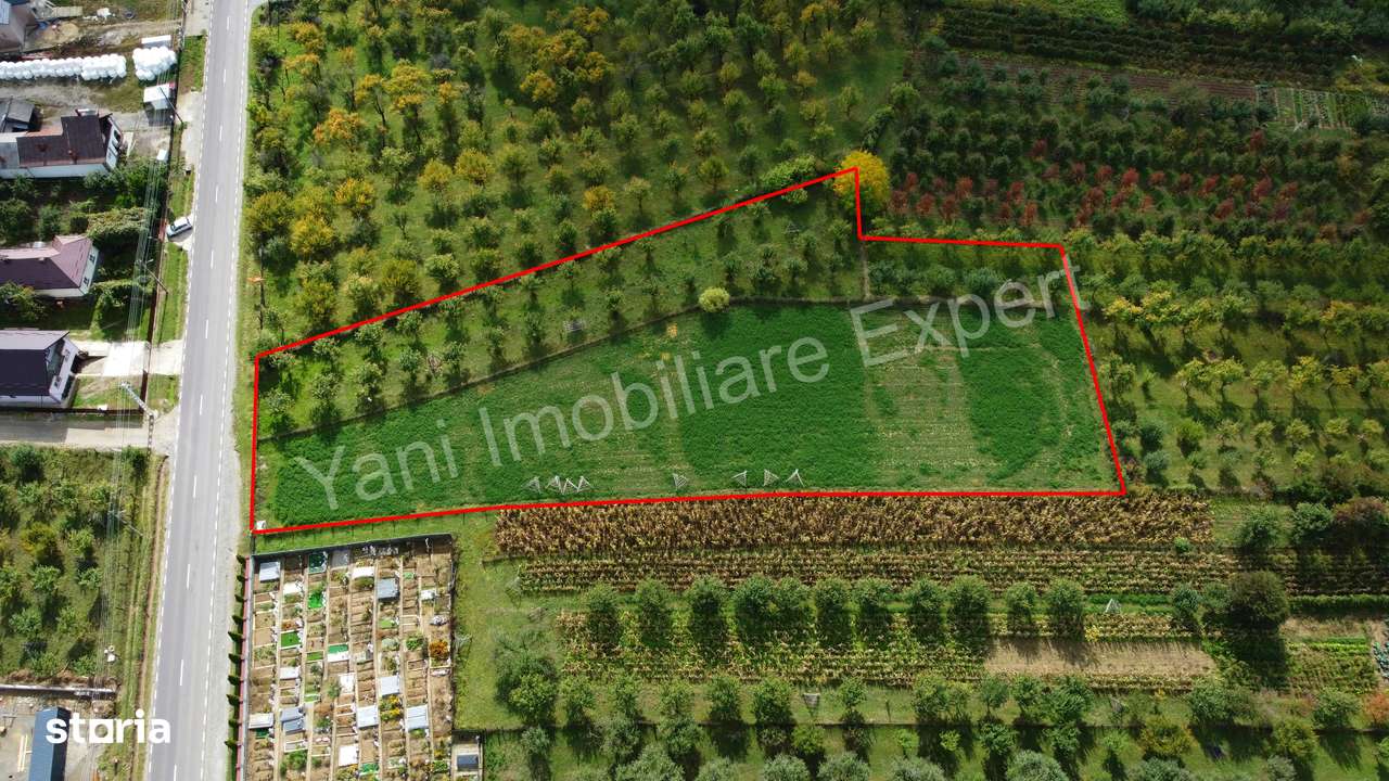 Teren de vânzare în comuna Corbeni, județ Argeș. - Imagine principală: 5/11