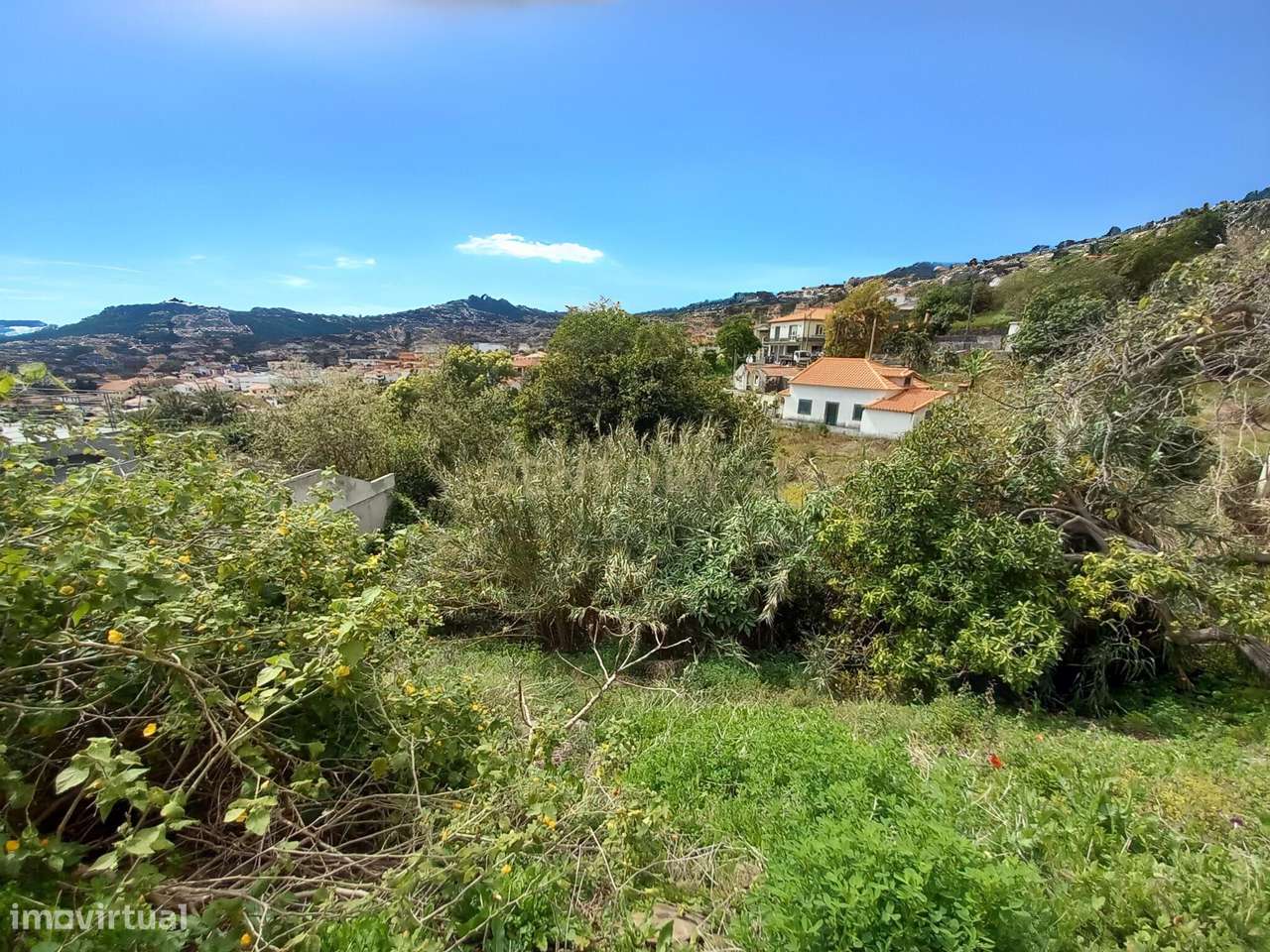 Terreno Urbano com Projeto Aprovado – São Roque, Funchal - Grande imagem: 4/11