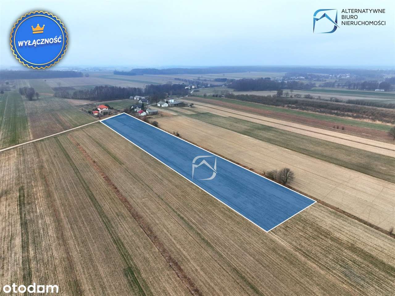 Działka pod zabudowę zagrodową w Zofianie - Pełny obrazek: 4/11