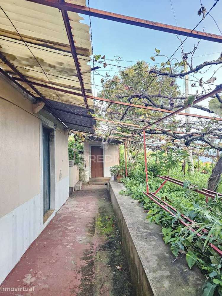 Moradia típica madeirense com terreno de 3140 m² - Grande imagem: 5/36