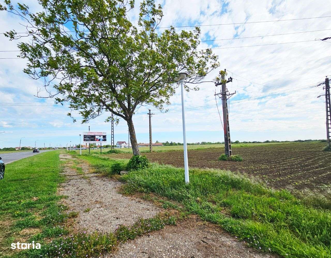 Teren intravilan 10.000 mp - Sannicolau Mare - Imagine principală: 2/6