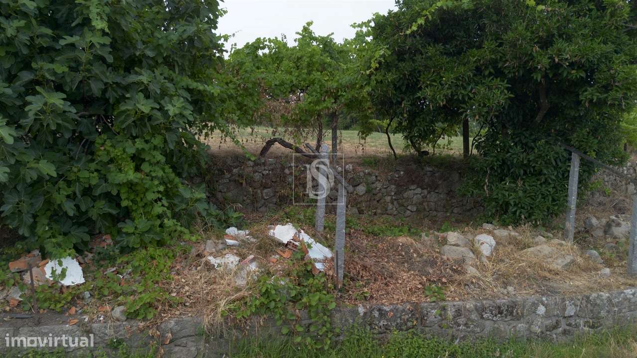 Terreno Para Construção  Venda em Ancede e Ribadouro,Baião-24
