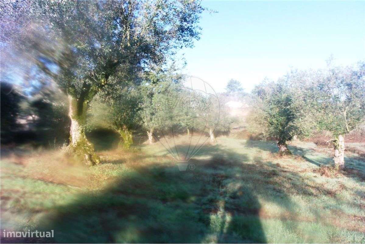 Terreno T0 para venda - Grande imagem: 5/5